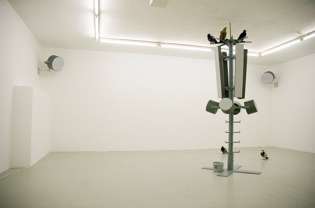 tree_sleeping_beauty - oliver kunkel